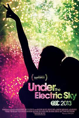 EDC2013:UndertheElectricSky封面图