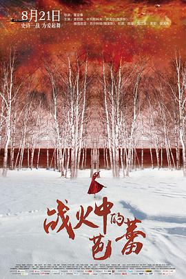 战火中的芭蕾封面图