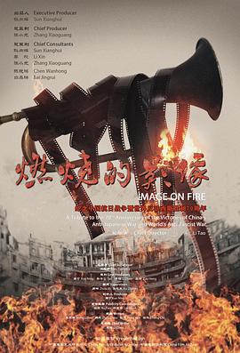 燃烧的影像封面图