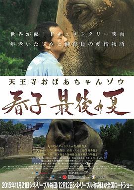 天王寺おばあちゃんゾウ春子最後の夏封面图