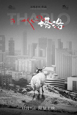 塔洛封面图