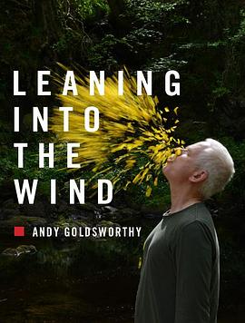 LeaningIntotheWind:AndyGoldsworthy封面图