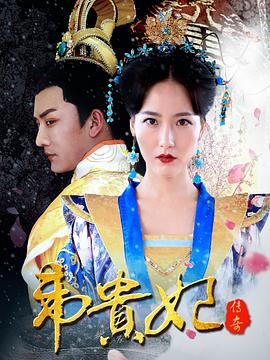 韦贵妃传奇封面图