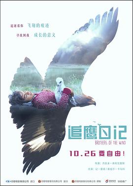 追鹰日记封面图