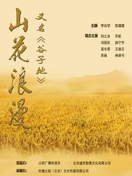 谷子地封面图