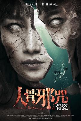 骨瓷封面图